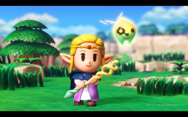 THE LEGEND OF ZELDA ECHOES OF WISDOM
